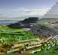 Full-Day Private Australian Wildlife Tour of Phillip Island - Accommodation Nelson Bay