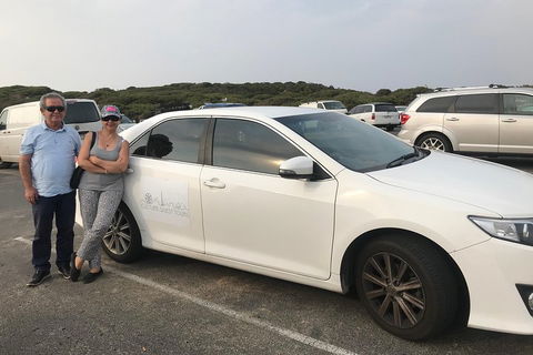 Full-Day Private Australian Wildlife Tour Of Phillip Island - Accommodation Nelson Bay 1