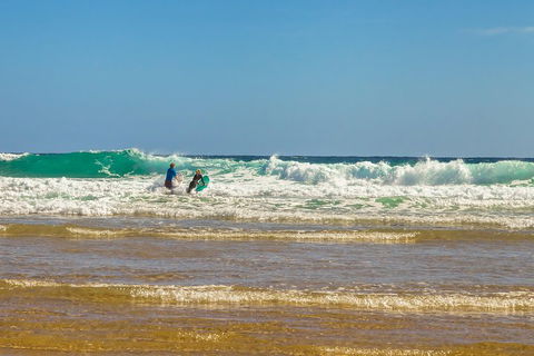 Full-Day Private Australian Wildlife Tour Of Phillip Island - Accommodation Nelson Bay 3