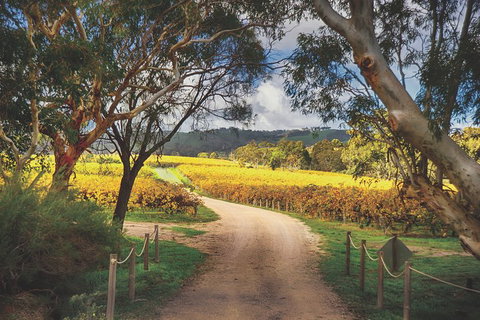 McLaren Vale Winery Small Group Tour With Wine Tasting And Lunch - Accommodation Nelson Bay 1