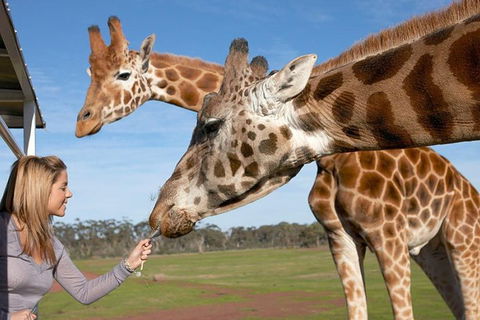Melbourne City Card (2 Days): Visit Unlimited Attractions! - Accommodation Nelson Bay 1