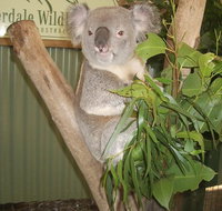 Private All Blue Mountains Day Tour - Accommodation Nelson Bay