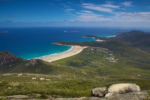 Wilson's Promontory & Phillip Island - 'Prom & Penguins' Tour - Accommodation Nelson Bay 0