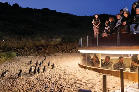 Wilson's Promontory & Phillip Island - 'Prom & Penguins' Tour - Accommodation Nelson Bay 3