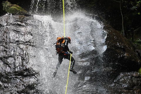 Blue Mountains Empress Canyon Adventure From Wentworth Falls - Accommodation Nelson Bay 3