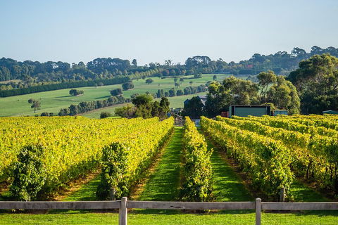 Private Tours From Melbourne - Accommodation Nelson Bay 1