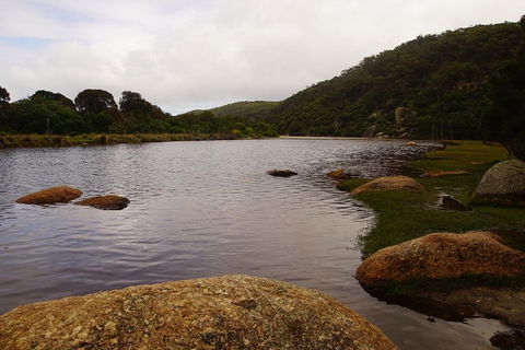 Private Tours From Melbourne - Accommodation Nelson Bay 2