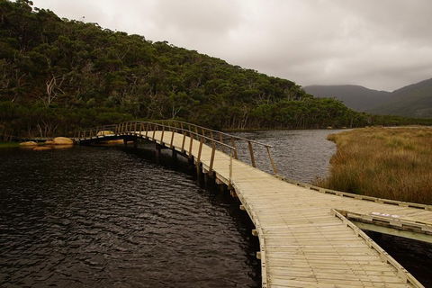 Private Tours From Melbourne - Accommodation Nelson Bay 3