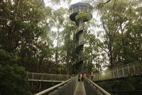 Private Tours From Melbourne - Accommodation Nelson Bay 5