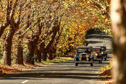 Blue Mountains Vintage Cadillac Tour With Local Guide - Accommodation Nelson Bay 1