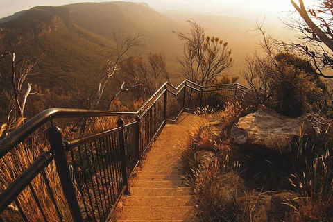 Blue Mountains Vintage Cadillac Tour With Local Guide - Accommodation Nelson Bay 3