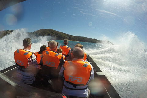 Noosa Thriller - 500hp Ocean Adventure Ride - Accommodation Nelson Bay 3