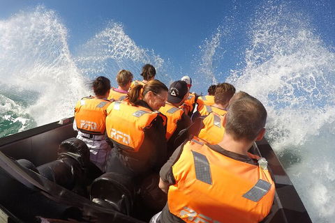 Noosa Thriller - 500hp Ocean Adventure Ride - Accommodation Nelson Bay 4