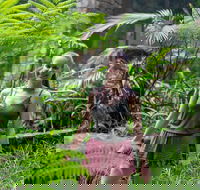 Full-Day Guided Hinterland Adventure Tour in Queensland - Accommodation Nelson Bay