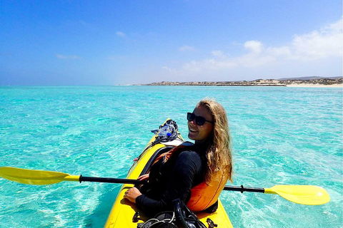 Lagoon Explorer - Ningaloo Reef Full-Day Kayaking And Snorkeling Adventure - Accommodation Nelson Bay 1
