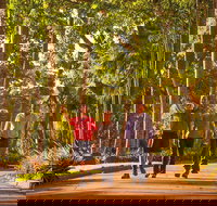 Darwin City Sights and Jumping Crocodile Cruise - Accommodation Nelson Bay