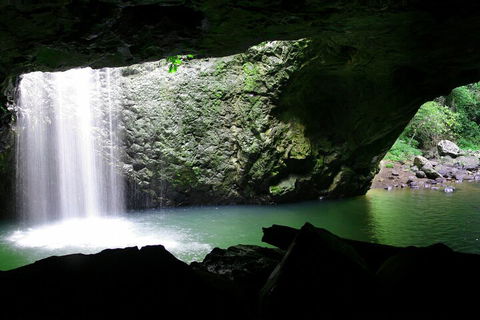 Natural Bridge & Springbrook Waterfalls Tour + Hot Air Balloon With Breakfast - Accommodation Nelson Bay 2