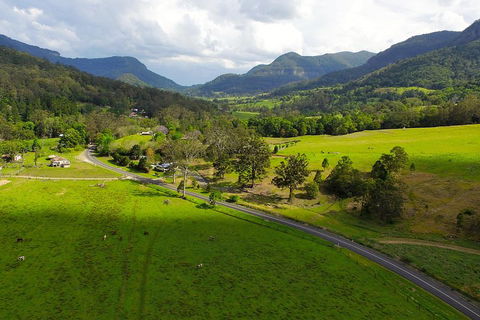 Natural Bridge & Springbrook Waterfalls Tour - Accommodation Nelson Bay 2
