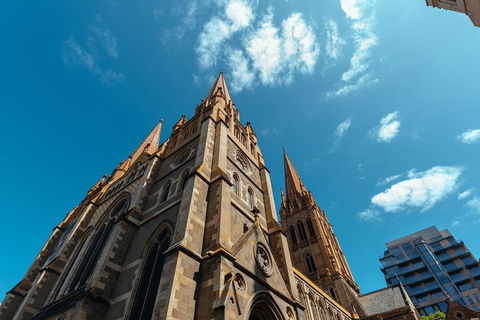 Highlights & Hidden Gems With Locals: Best Of Melbourne Private Tour - Accommodation Nelson Bay 4