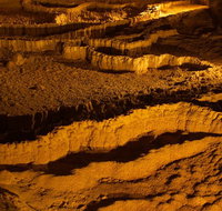 The Explorers' Discovery Tour - Gold Wine  Wildlife - Accommodation Nelson Bay