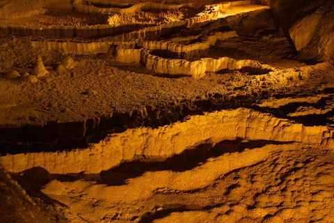 The Explorers' Discovery Tour - Gold, Wine & Wildlife - Accommodation Nelson Bay 0