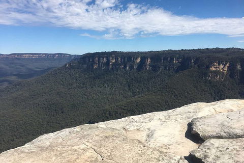 The Explorers' Discovery Tour - Gold, Wine & Wildlife - Accommodation Nelson Bay 1