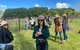 Mt Tamborine Full Day Wine Tour - thumb 1