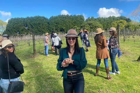 Mt Tamborine Full Day Wine Tour - Accommodation Nelson Bay 1