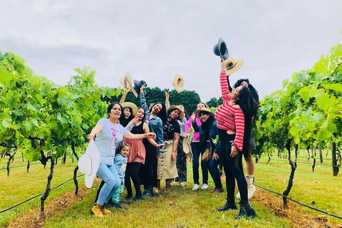 Mt Tamborine Full Day Wine Tour - Accommodation Nelson Bay 4