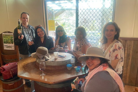 Mt Tamborine Full Day Wine Tour - Accommodation Nelson Bay 5