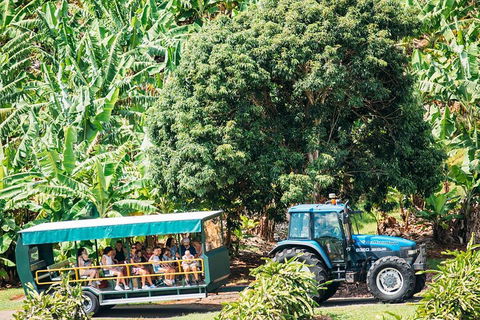 Northern Rivers Full Day Wine Tour - Accommodation Nelson Bay 1