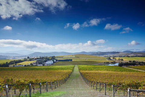Yarra Valley Wine And Wildlife Self-Driving Tour - Accommodation Nelson Bay 1