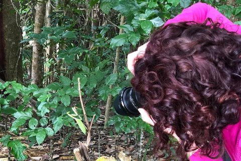 Let's Go Buggin & Let's Go Shroomin - Photography & Nature Walking Tours - Accommodation Nelson Bay 1