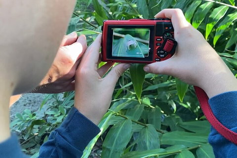 Let's Go Buggin & Let's Go Shroomin - Photography & Nature Walking Tours - Accommodation Nelson Bay 2
