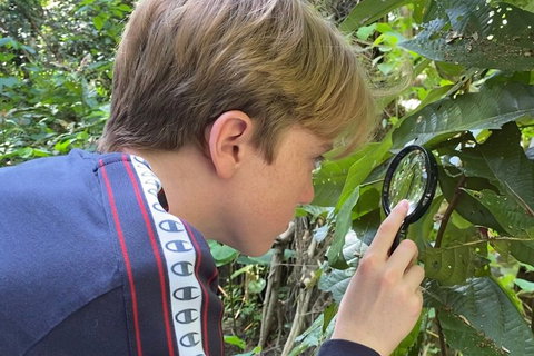 Let's Go Buggin & Let's Go Shroomin - Photography & Nature Walking Tours - Accommodation Nelson Bay 3