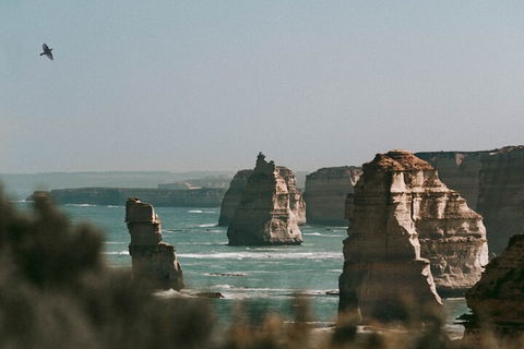Half-Day Or Full-Day Tour With Private Guide From Melbourne - Accommodation Nelson Bay 0