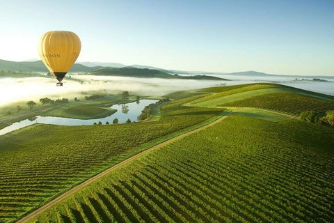 Half-Day Or Full-Day Tour With Private Guide From Melbourne - Accommodation Nelson Bay 4
