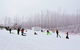 Private Mount Buller Snow And Ski Tour From Melbourne - thumb 1