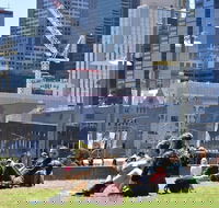 Personalised Half Day With A Local In Melbourne - Accommodation Nelson Bay