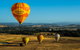 Yarra Valley Balloon Flight And Winery Tour - thumb 0