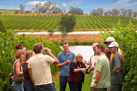 Yarra Valley Balloon Flight And Winery Tour - Accommodation Nelson Bay 4