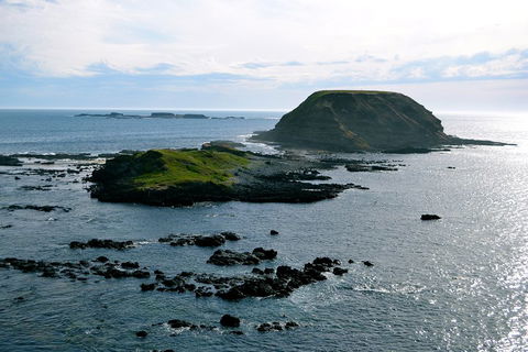 Puffing Billy, Wildlife Sanctuary & Penguins Day Tour From Melbourne - Accommodation Nelson Bay 1