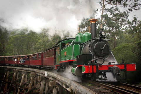 Puffing Billy, Wildlife Sanctuary & Penguins Day Tour From Melbourne - Accommodation Nelson Bay 5