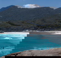 Wilson's Promontory Small Group Eco Tour from Melbourne - Accommodation Nelson Bay
