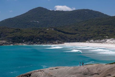 Wilson's Promontory Small Group Eco Tour From Melbourne - Accommodation Nelson Bay 0