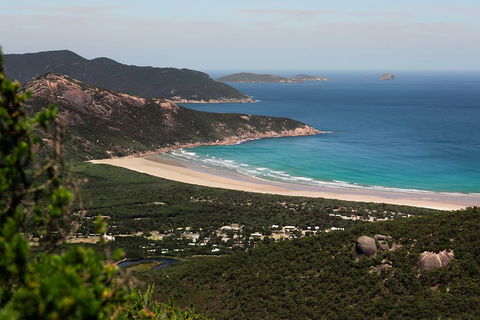 Wilson's Promontory Small Group Eco Tour From Melbourne - Accommodation Nelson Bay 4