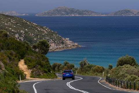 Wilson's Promontory Small Group Eco Tour From Melbourne - Accommodation Nelson Bay 5