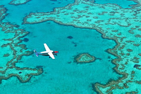 Reef And Island Scenic Flight From Airlie Beach - Accommodation Nelson Bay 4