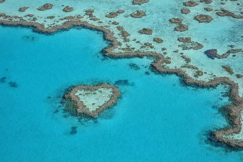 Reef And Island Scenic Flight From Airlie Beach - Accommodation Nelson Bay 5