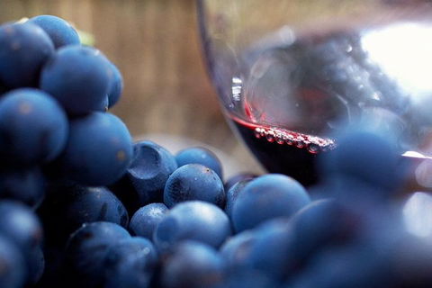 The Ultimate Yarra Valley Food And Wine Small Group Tour (Max 6 Guests) - Accommodation Nelson Bay 3